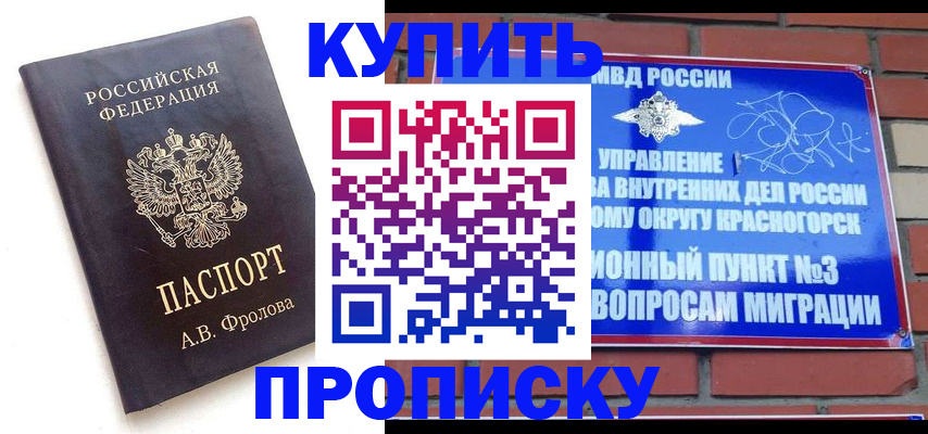 прописка поиск в Светлогорске