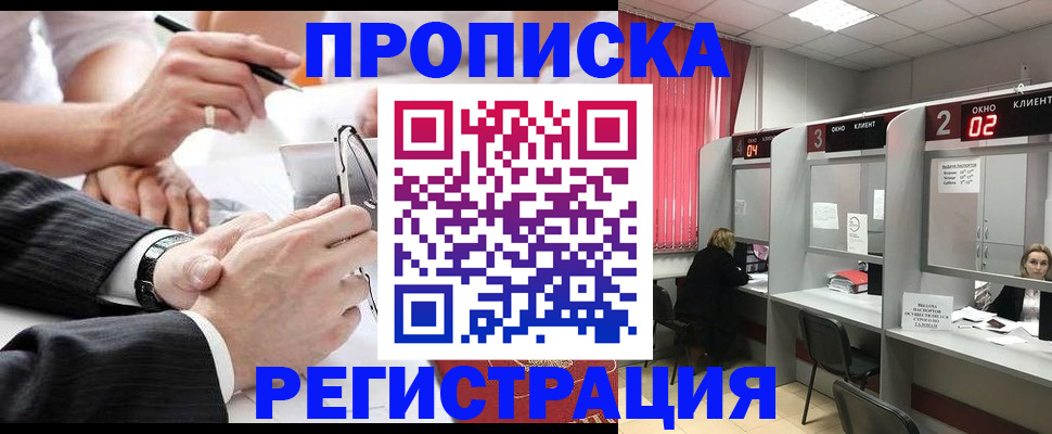 прописка 2025 в Светлогорске